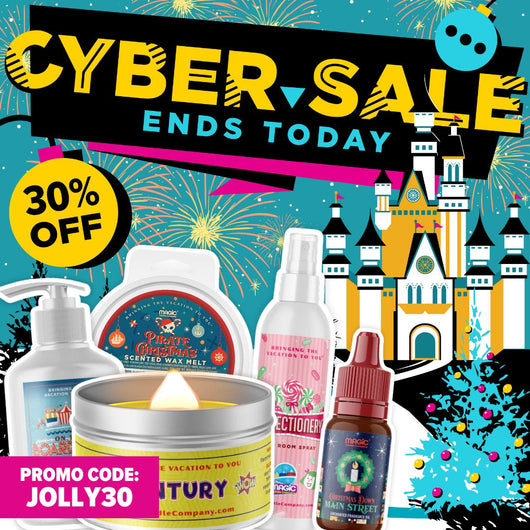 30% OFF Cyber Sale