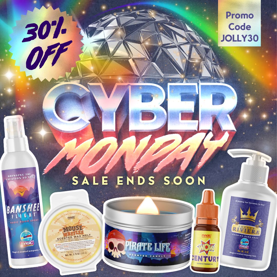 30% OFF Cyber Monday Sale