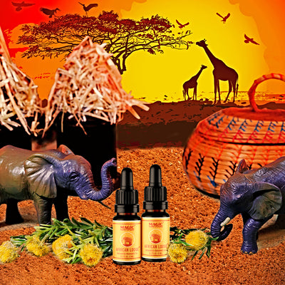 African Lodge oils