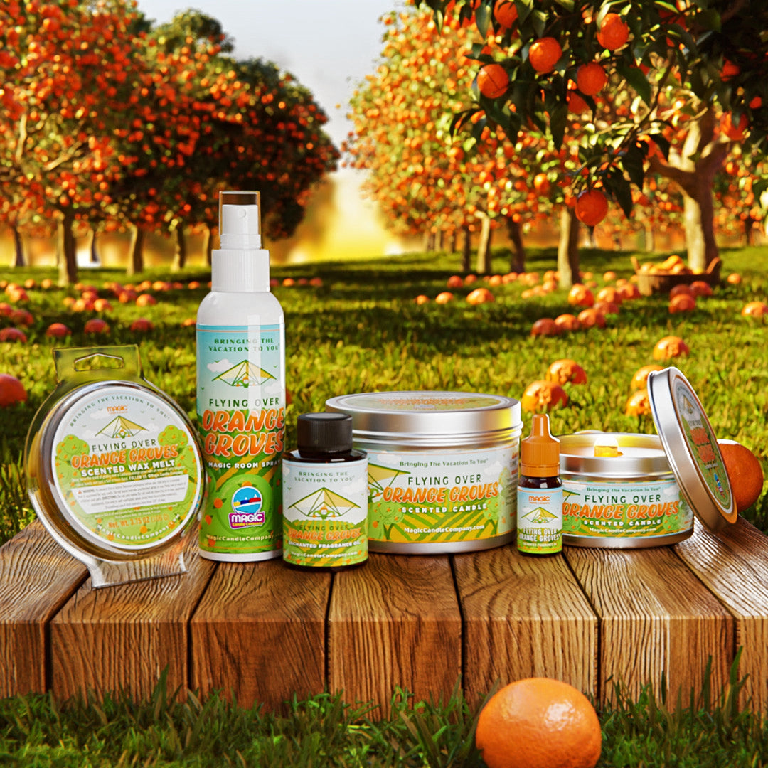 Flying Over Fragrances | Scents of Soarin – Magic Candle Company