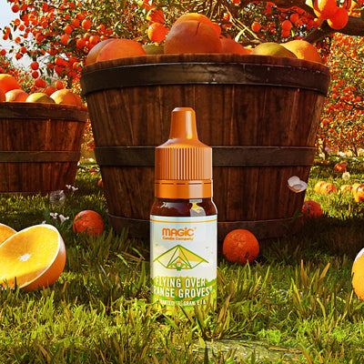 Orange Groves Small Oil