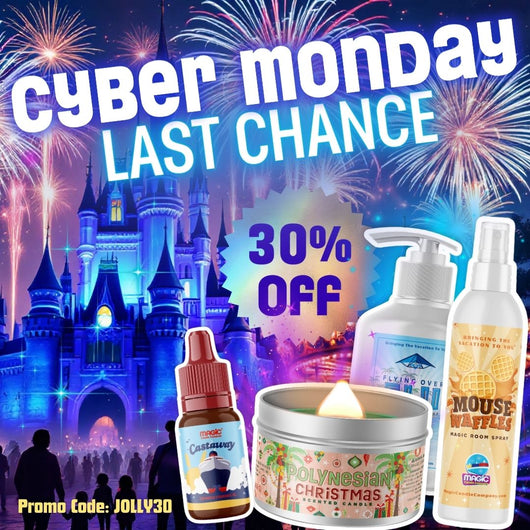 30% OFF Cyber Monday Sale