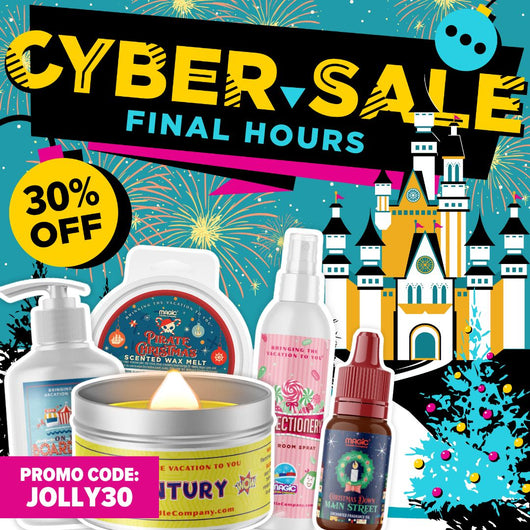 30% OFF Cyber Sale