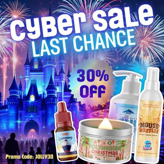 30% OFF Cyber Sale