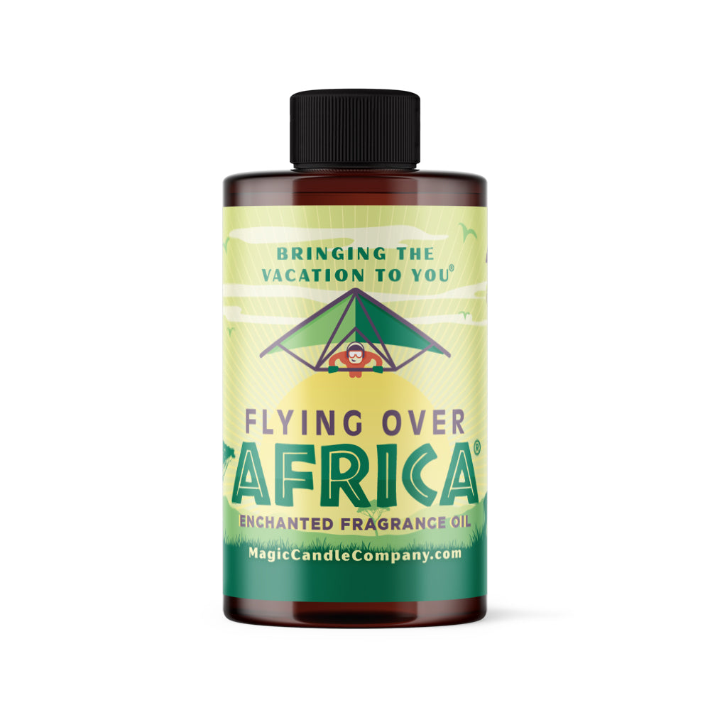 Flying Over Africa large oil