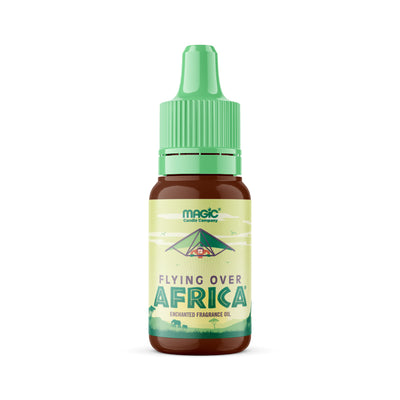 Flying Over Africa small oil
