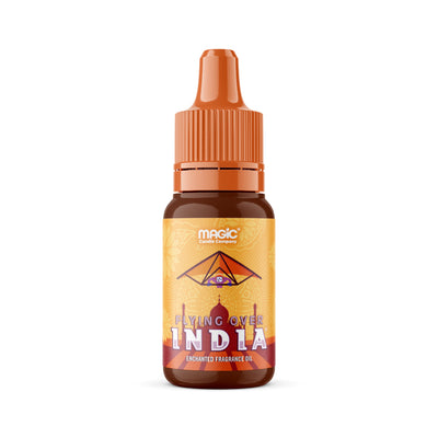 Flying Over India small oil